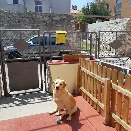 Danijela Appartamento Pola