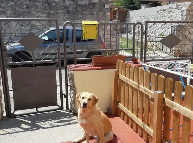 Danijela Apartmán Pula